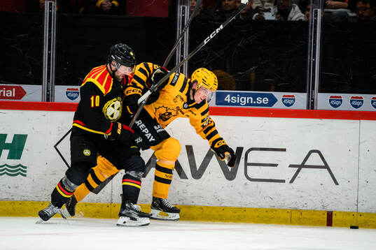 Brynäs Johan Larsson och Skellefteås Pontus Johansson