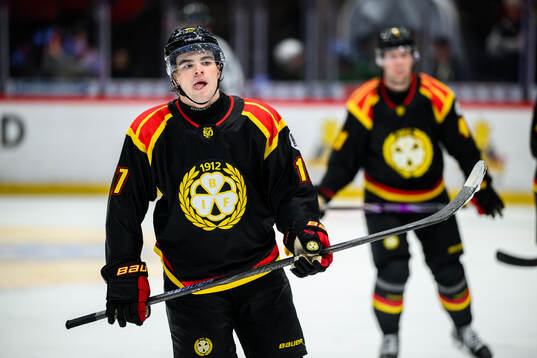 Brynäs Michal Svrcek