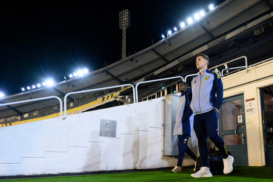 Alexander Isak and Viktor Gyökeres of the Swedish men's