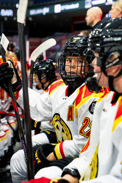 Brynäs Hanna Thuvik