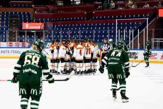 Brynäs jublar