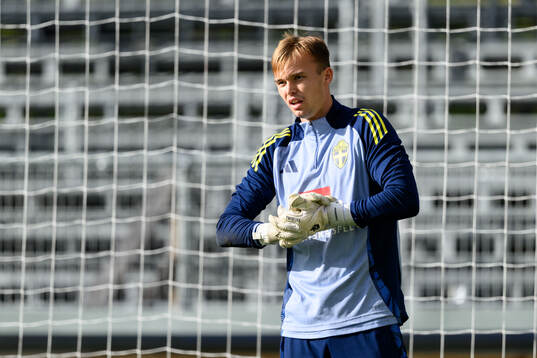 Goalkeeper André Picornel of the Swedish under-21 national