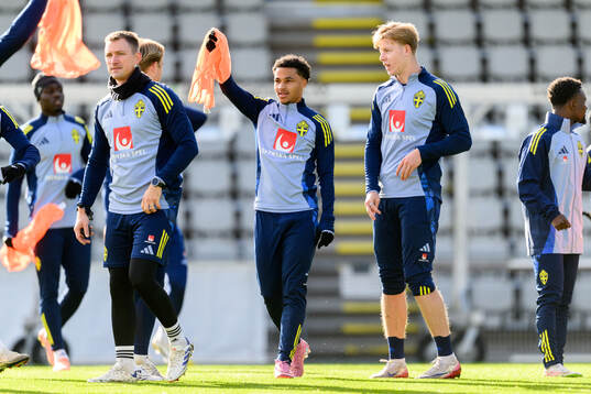 Momoduo Sonko and Nils Zetterström of the Swedish under-21