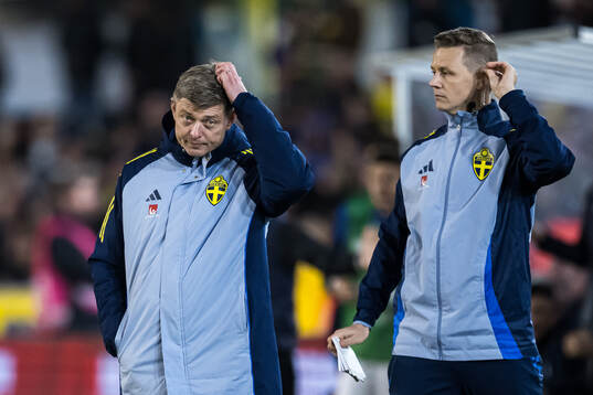 Head coach Jon Dahl Tomasson and Goaltender coach Maths
