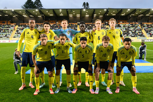 The starting eleven of Sweden