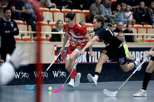 Pixbos Václav Babík och Storvretas Gabriel Kohonen