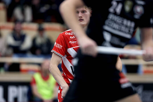 Pixbos Arvid Äse
