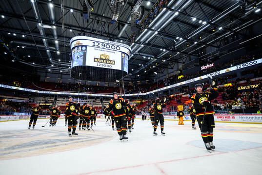 Brynäs spelare jublar