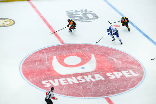 Brynäs Michal Kempny