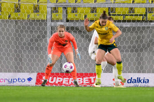 Goalkeeper Fanney Birkisdottir of Häcken