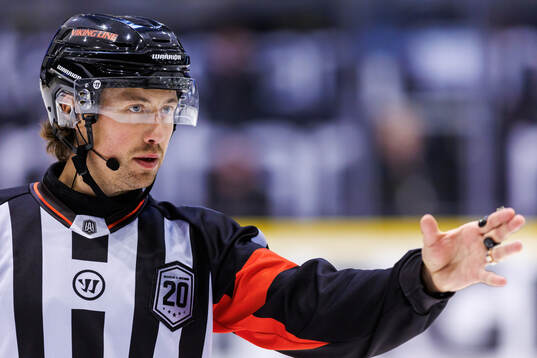 domare Robin Jacobsson