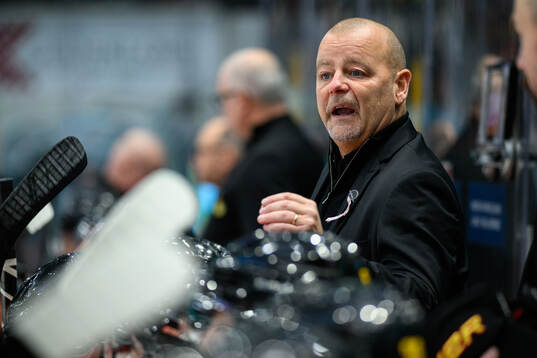 Brynäs tränare Niklas Gällstedt