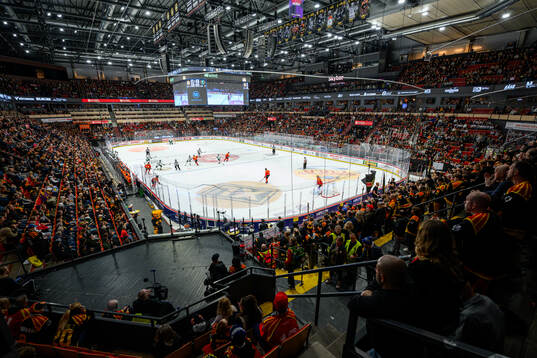 Monitor ERP Arena