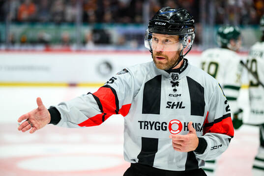 Domare Tobias Björk