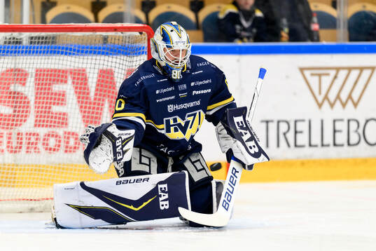 HV71s målvakt Frederik Dichow