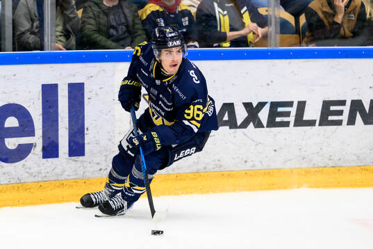 HV71s Nikola Pasic