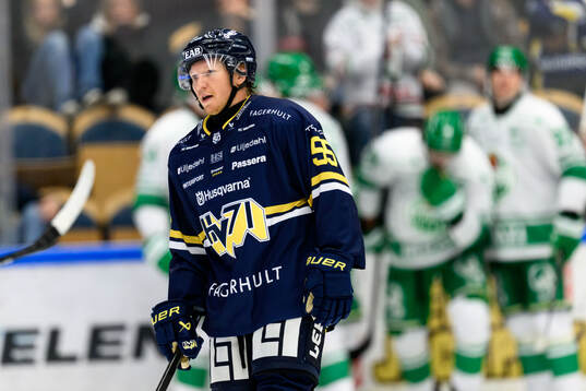 HV71s Andreas Borgman deppar