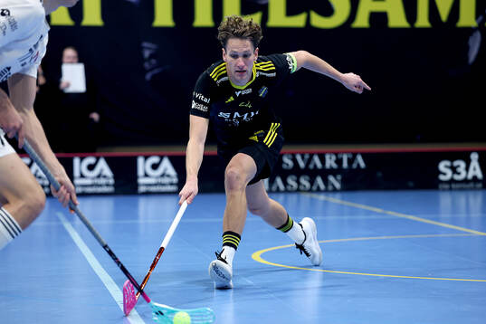 AIK's Andreas Stefansson