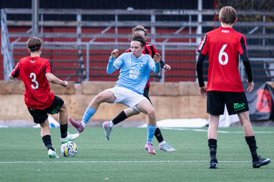 Malmö FFs Max Andersson