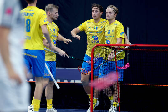 Gabriel Kohonen and Filip Eriksson of Sweden