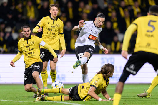 Häckens Amor Layouni