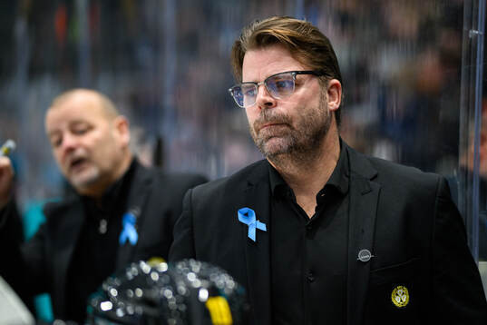 Brynäs assisterande tränare Ove Molin