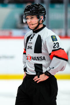 Domare Alexander Österberg