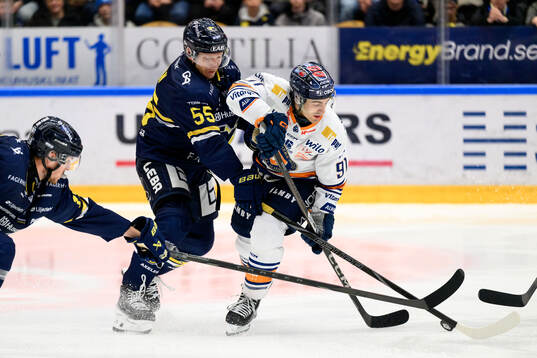 HV71s Andreas Borgman och Växjös Felix Robert