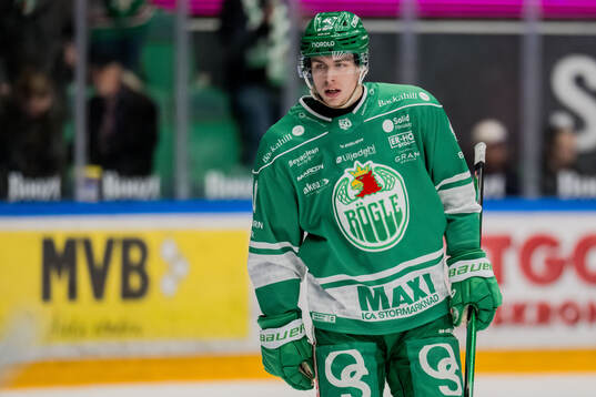 Rögles Lubos Horky