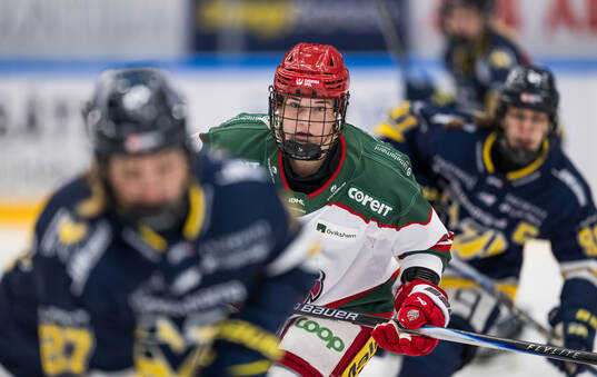 Modos Ebba Berglund