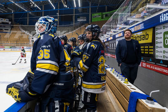 HV71s tränare Thomas Pettersen
