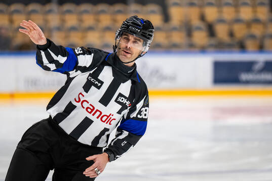 Domare Richard Magnusson
