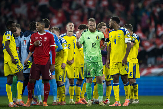 Goalkeeper Viktor Johansson and Isak Hien of Sweden