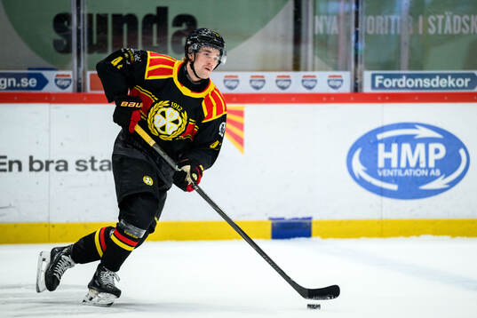 Brynäs Lucas Pettersson