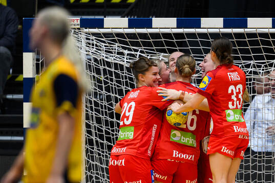 Players of Denmark celebrate