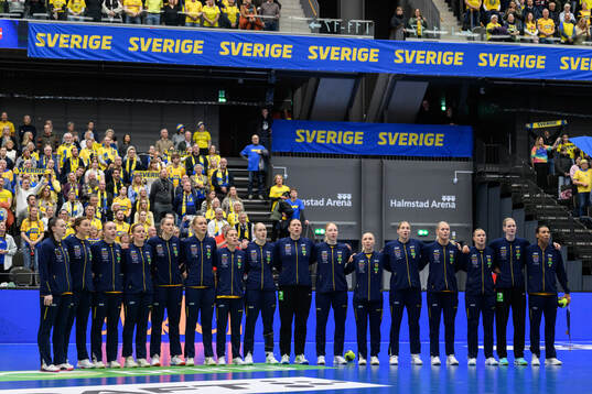 The players of Sweden