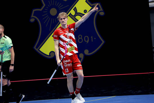 Pixbos Arvid Äse jublar