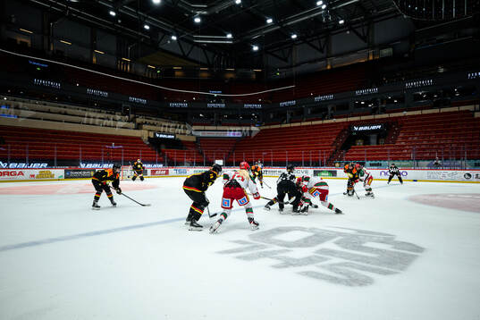Monitor ERP Arena