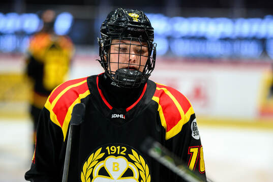 Brynäs Elin Svensson