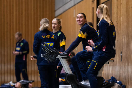Anna Lagerquist of the Swedish women's national handball