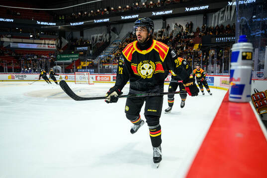 Brynäs Tyler Vesel