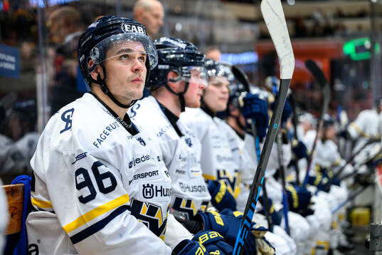 HV71s Nikola Pasic