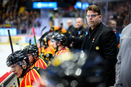 Brynäs assisterande tränare Ove Molin