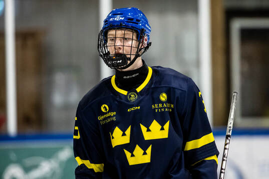 Anton Toivola Henriksson