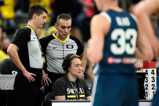 Referees Geert Jacobs and Georgios Poursanidis
