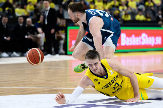 Leon Stergar of Slovenia and Ludvig Håkanson of Sweden