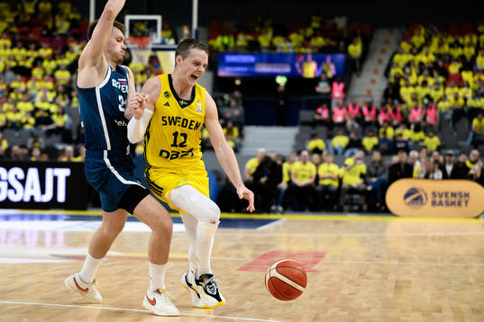 Gregor Glas of Slovenia and Ludvig Håkanson of Sweden