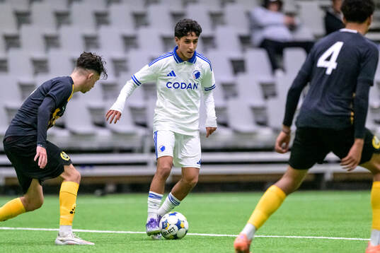 FC Köpenhamns Shahin Pelyad