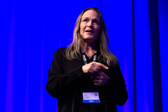 Frida Boklund, moderator