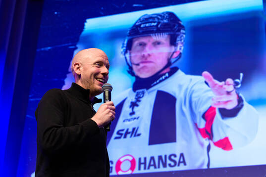 Domare Mikael Holm